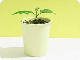 Biodegradables